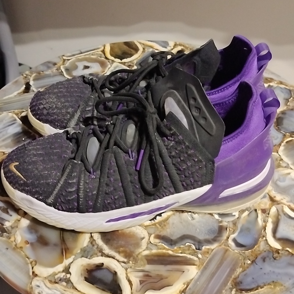 Boy's LeBron Sneakers